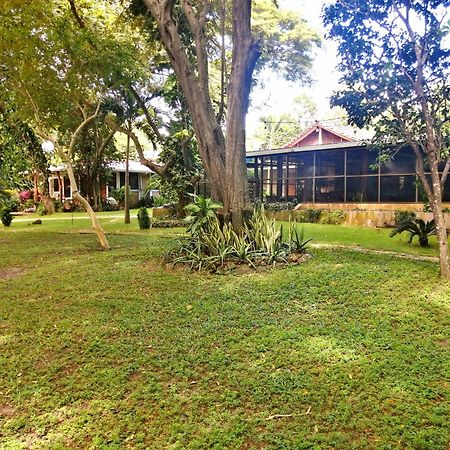 Xalli Beach Hotel Altagracia Exteriör bild